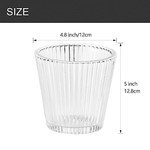 3 Pack Clear Glass Shade Covers Replacements (3 Count)