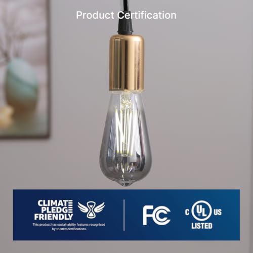 LED Edison Bulbs (6 Count)
