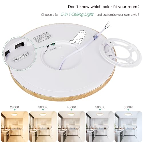 12 Inch LED Flush Mount Ceiling Light Fixture (2 Count)