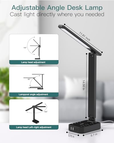 LED Desk Lamp