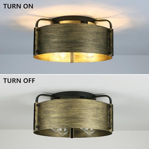 Flush Mount Ceiling Light