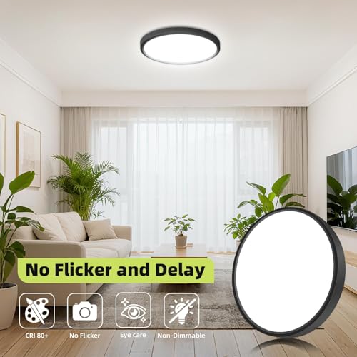 LED Flush Mount Ceiling Light