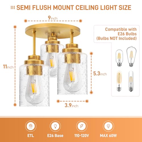Semi Flush Mount Ceiling Light