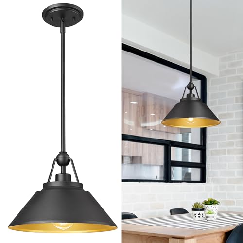Barn Pendant Light Fixture