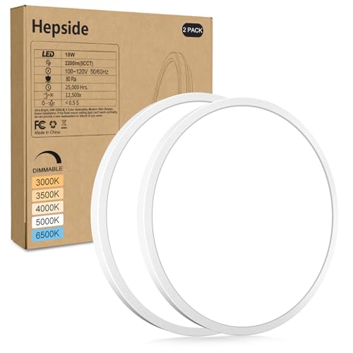 2Pack LED Flush Mount Ceiling Light Fixture (2 Count)
