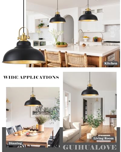 Black and Gold Pendant Light