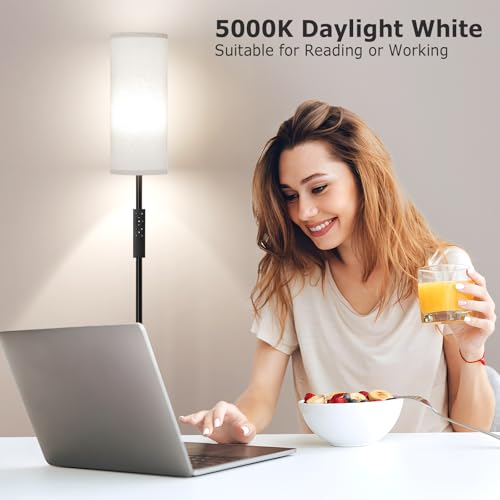 64'' Floor Lamps for Living Room with Remote Control and Stepless Dimmable Colors Temperature & Brightness