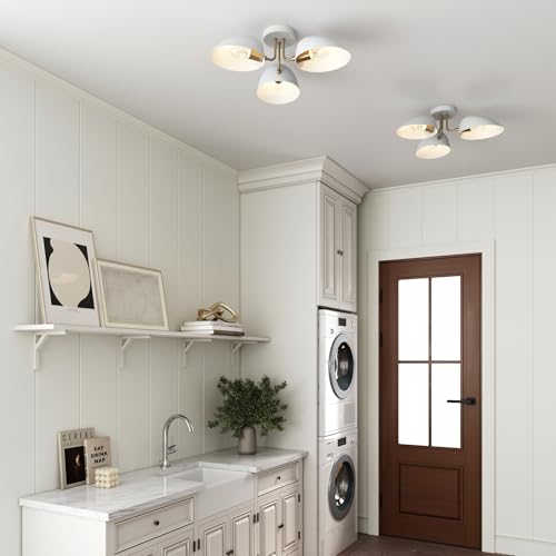 Argo Semi Mount Flush Ceiling Light (2 Count)