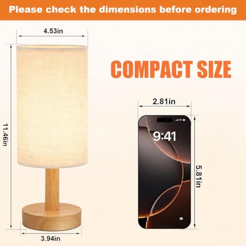 Rechargeable Cordless Touch Table Lamp with Stepless Dimming