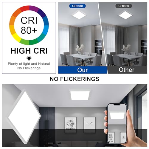2 Pack 12 inch Flush Mount Ceiling Light (2 Count)