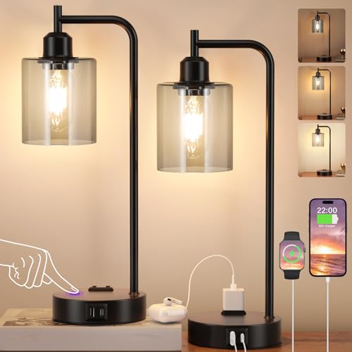 Industrial Touch Bedroom Lamps for Bedrooms Set of 2 (2 count)
