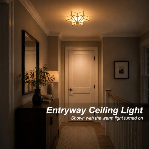 Star Shaped Ceiling Light Fixture