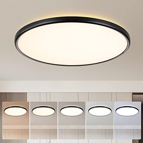 18 Inch Dimmable Ceiling Light Fixture