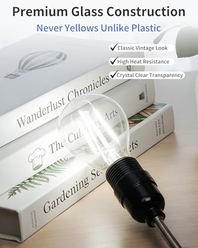 A19 Daylight Edison Bulbs (6 Count)