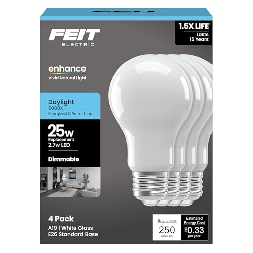 Enchance A19 LED Light Bulbs (4 Count)
