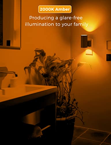 Night Light Amber Nightlight (2 Count)