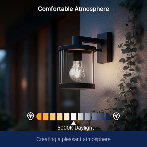 Dusk to Dawn Outdoor Sensor A19 LED Light Bulbs