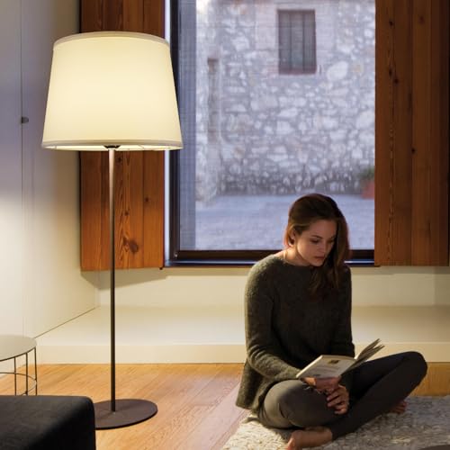 Lamp Shades Set of 2 (2 Count)