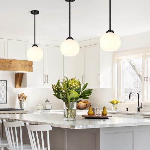 2 Pack Lamp Glass Shade Globe (2 Count)