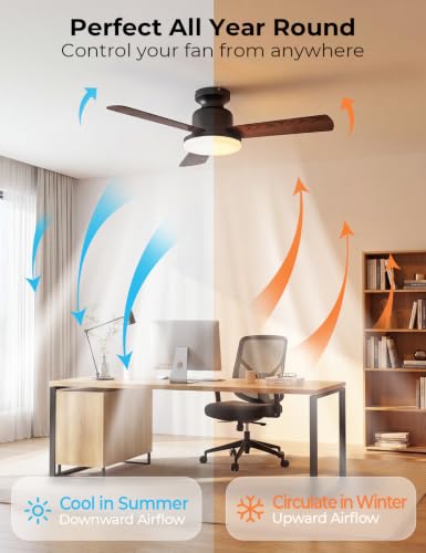 42" Smart Ceiling Fans with Lights and Remote (Black +Walnut / 42 Inch)