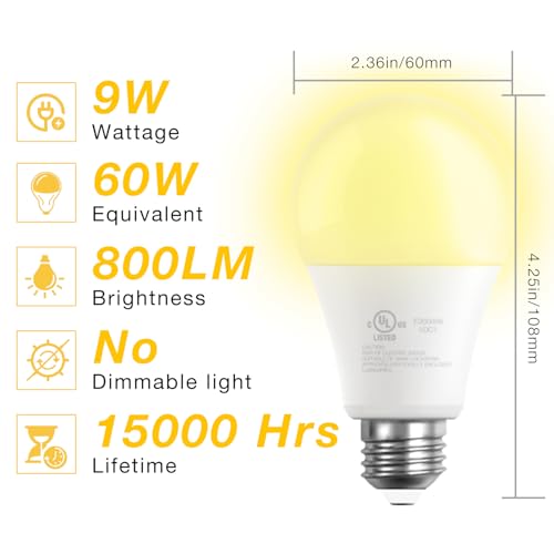 A19 LED Light Bulbs (24 Count)
