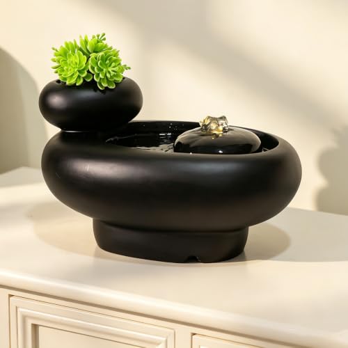 Table Fountain Indoor Water Zen Garden Decor with Succulent Plant