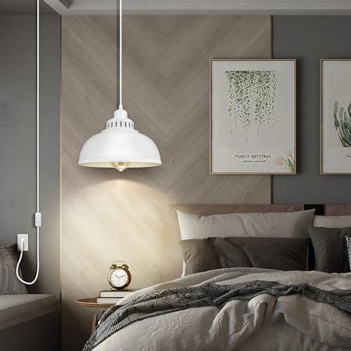 Plug in Pendant Light