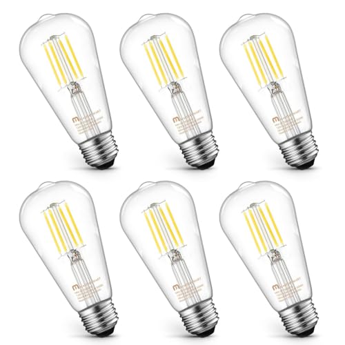 6 Pack Vintage Edison Bulbs (6 Count)