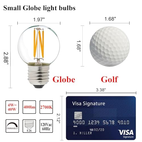 Dimmable G16.5 E26 Bulb (6 Count)