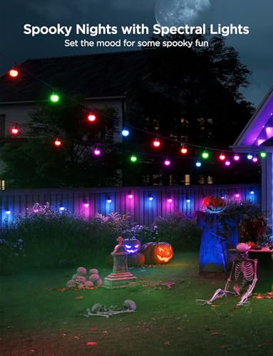 Smart Outdoor String Lights 2 (96 Foot)