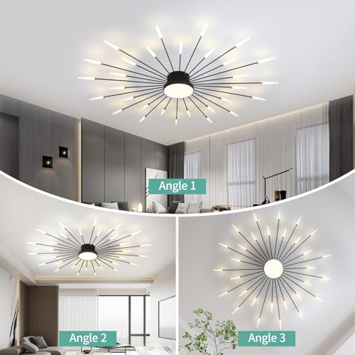 Modern Ceiling Light