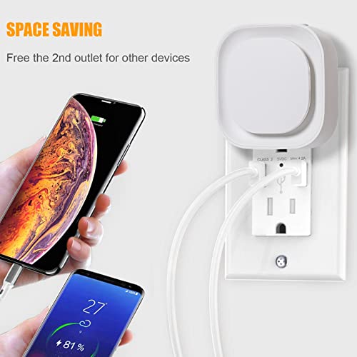 2 Pack Plug in Dimmable Night Light (2 Count)