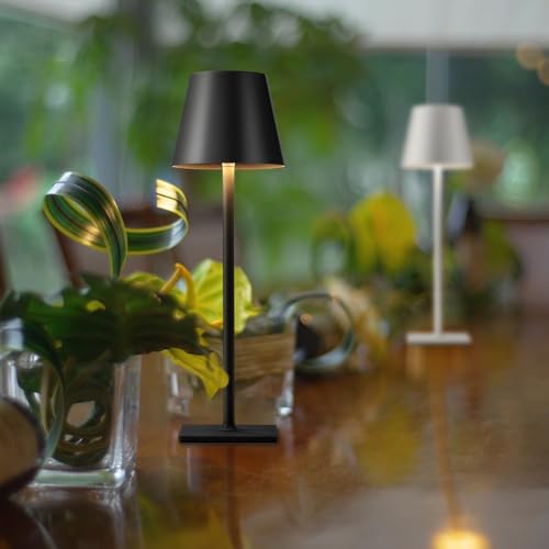 2 Pack Cordless Black Table Lamps (2 Count)