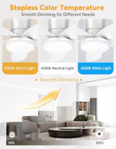 Ceiling Fans with Lights