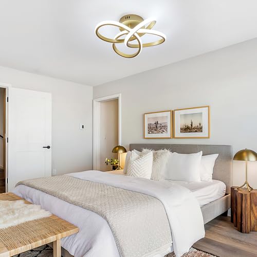 Modern Ceiling Light