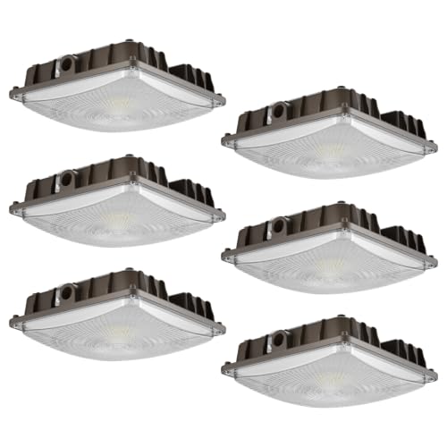 LED Canopy Lights (6 Count)