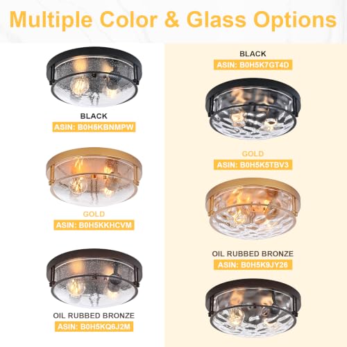 Gold 2 Light Ceiling Light Fixture with Hammered Glass