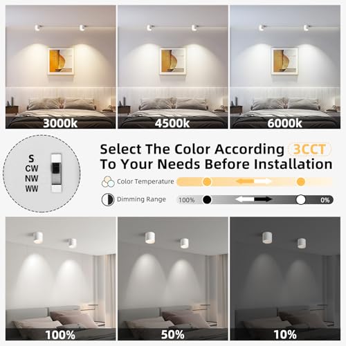 White Flush Mount Ceiling Light Fixtures for Hallway Entryway