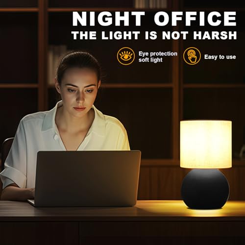 Modern Small Table Lamp Set of 2 (2 Count)