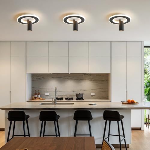 Modern LED Ceiling Lights with 1 Spotlight 9.8Inch Black Ceiling Light with Remote Control Dimmable 3000k