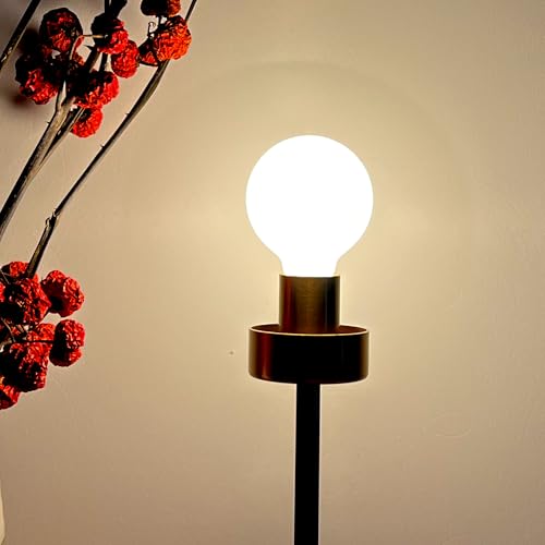 LED Light Bulb G30