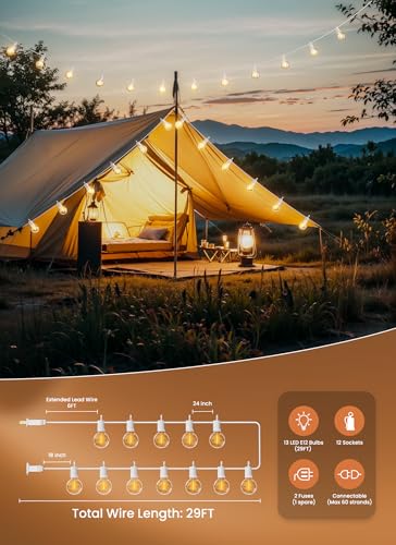 Outdoor String Lights (29 Foot)