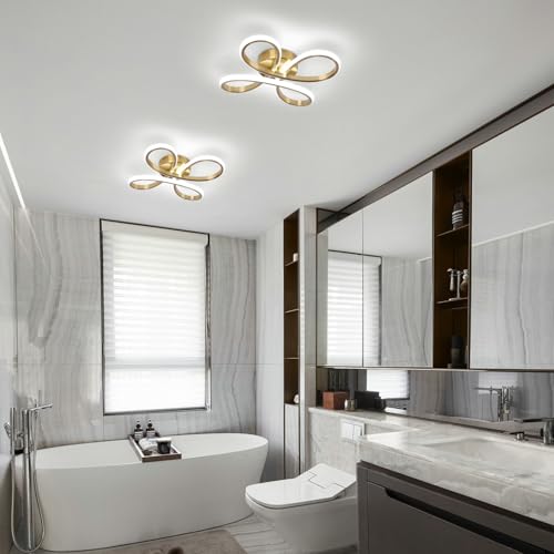 Modern LED Ceiling Light