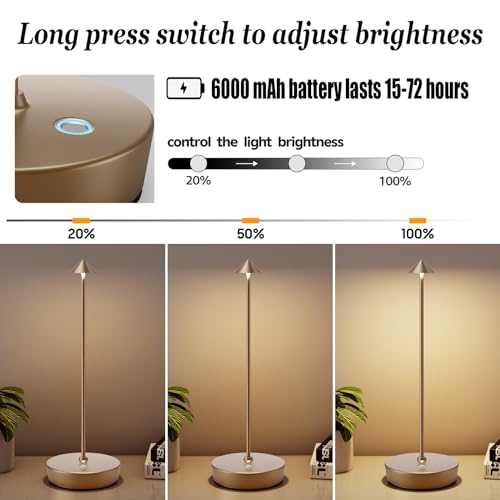 Rechargeable Cordless Table Lamp