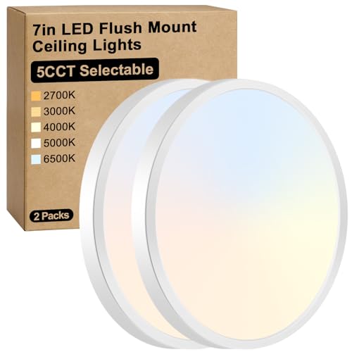 7 Inch LED Flush Mount Ceiling Light Fixture (2 Count)