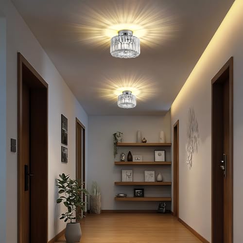Crystal Ceiling Light