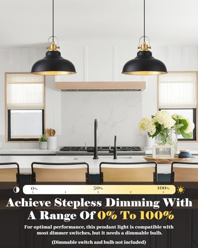 Black and Gold Pendant Light