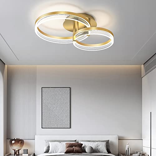 Chaners Ceiling Light Acrylic Ring Ceiling Light LED with Remote Control Dining Room Bedroom Lamp Living