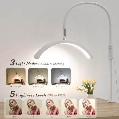 Half Moon Light with Clamp