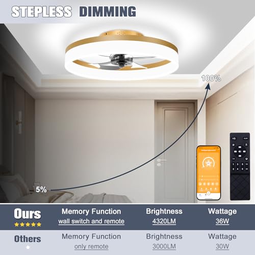 Low Profile Ceiling Fans with Lights and Remote